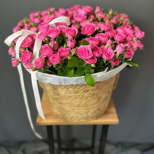 Кустовые розы в кашпо