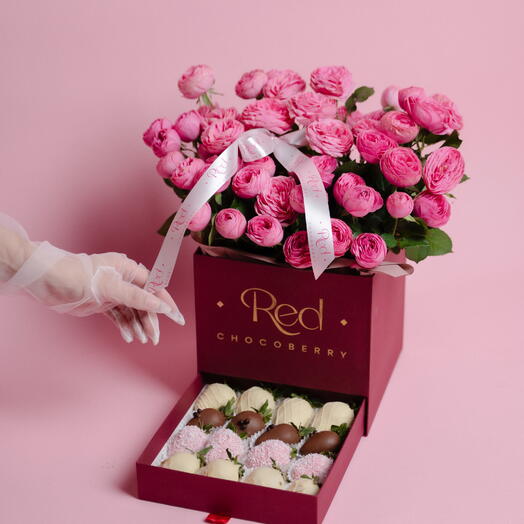 Red Chocoberry 