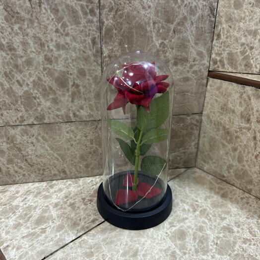 Alive Flowers