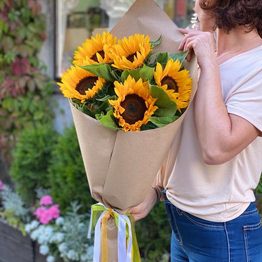 Girasoles