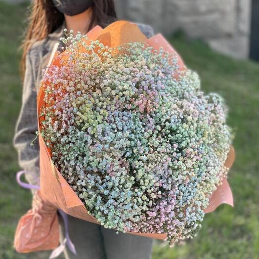 Ramo de 25 gypsophila iridiscente