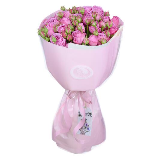 SERENE bush peony roses