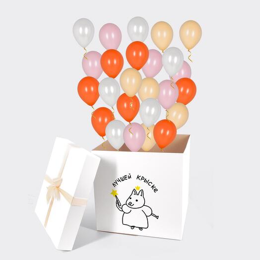 A surprise box for the "Best Rat"