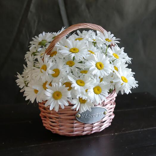 Ромашки в корзине