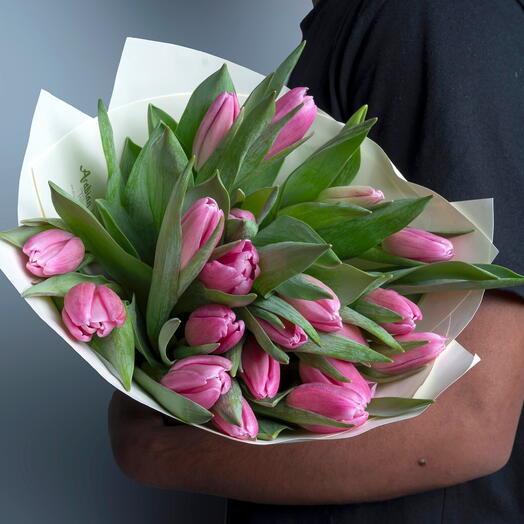 19 Pink Tulip