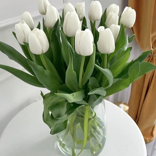 Tulips in vase