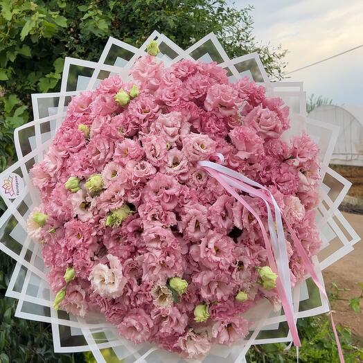 Pink lisianthus