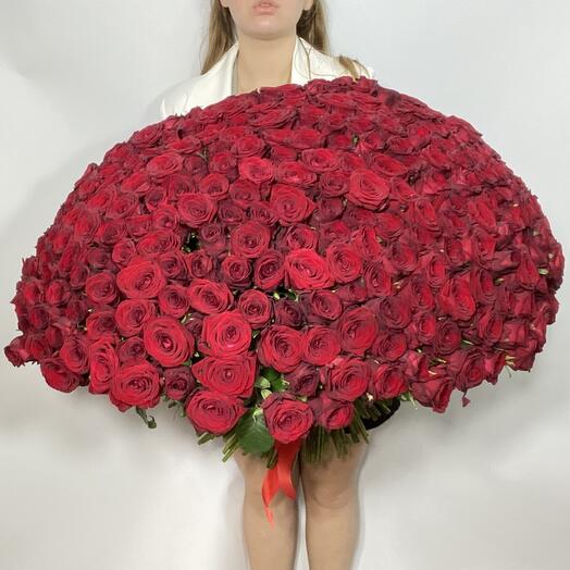 301 роза