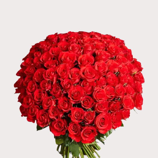 100 Red Roses