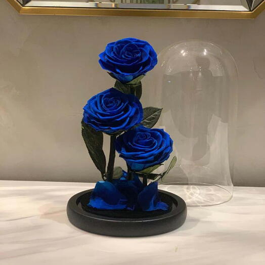 Forever rose blue triple