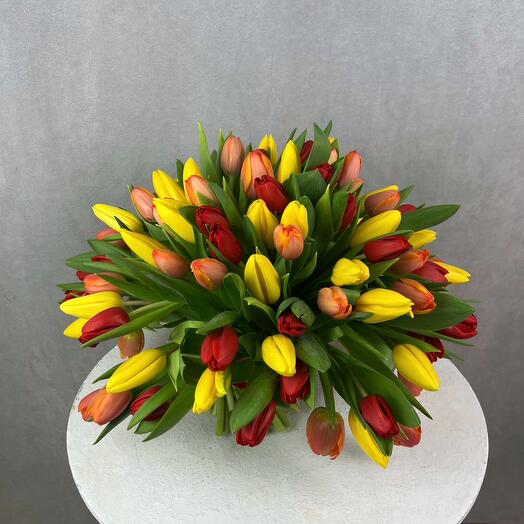 101 tulipanes mix