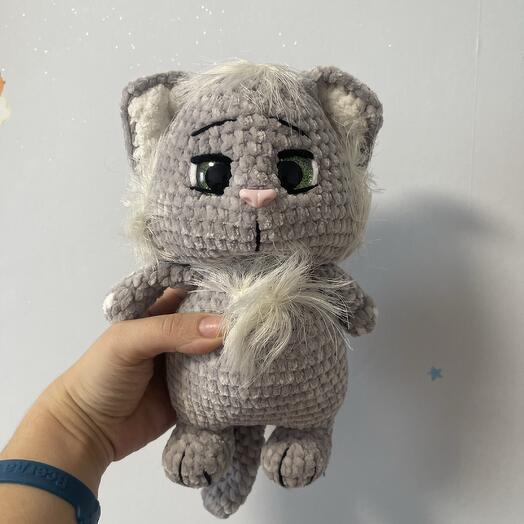 Серый котик