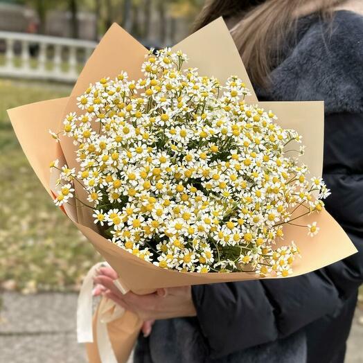 Букет из 21 ромашки