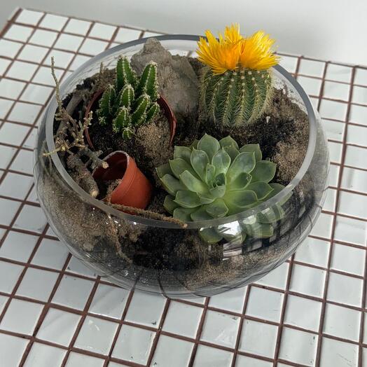 Сад в вазочке