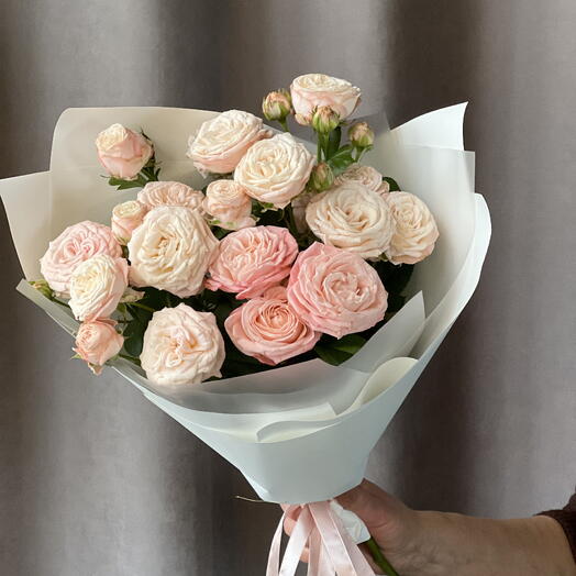 Zeffir flowers