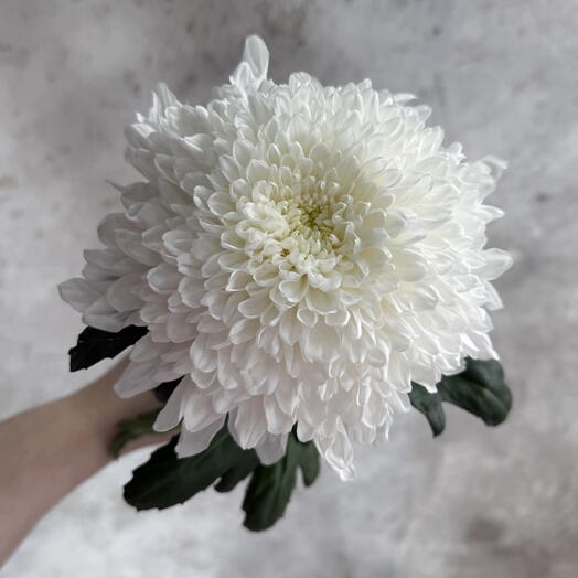 A. Flowers