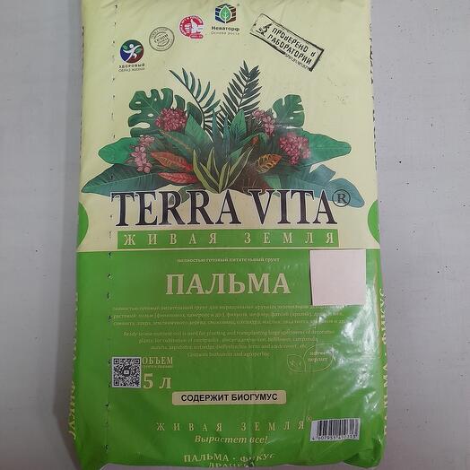 Живая земля, пальма