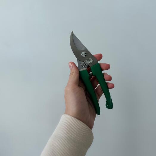 Секатор для срезных и комнатных растений