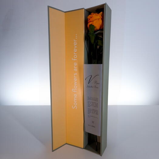 Premium Rose Preserved (orange)