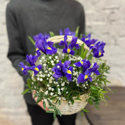 Irises in the basket