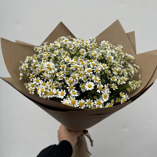 Chamomile Bouquet