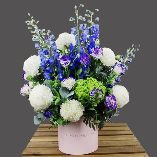 Delphinium Hydrangea Box