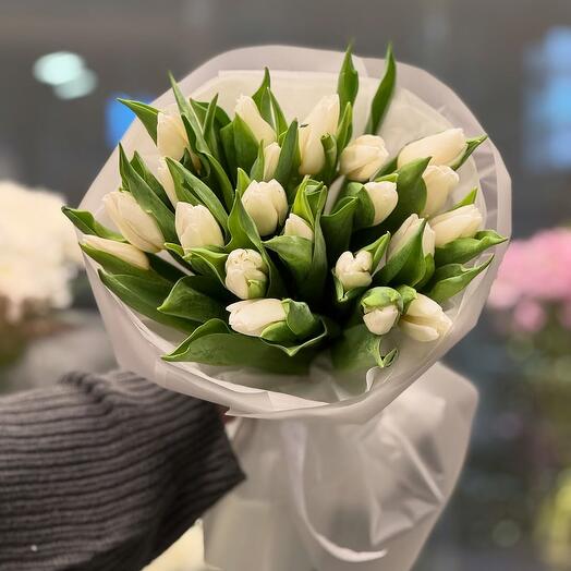 Белые тюльпаны 19
