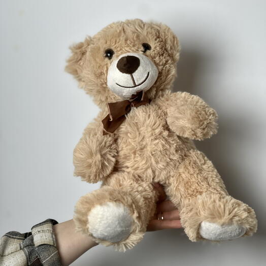 Urso de pelúcia (tamanho S)