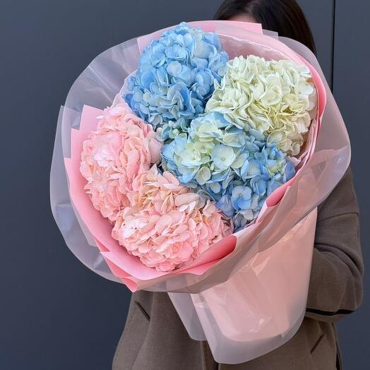 Гортензии 5шт