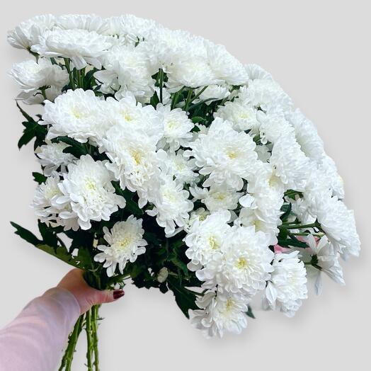 Букет из 7 белых кустовых хризантем Алтай