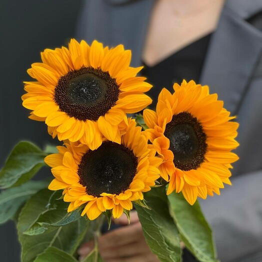 NikaFlower