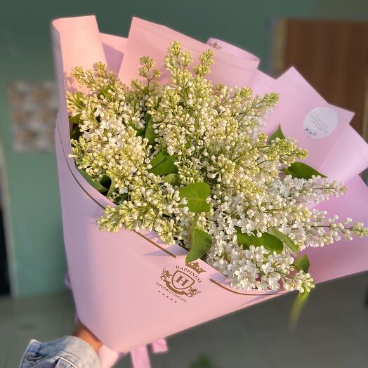 Белая сирень