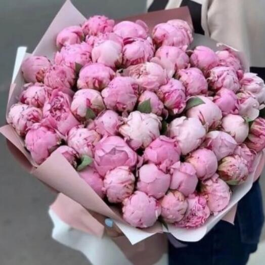 Peonies "New Paradise" - 51 pieces