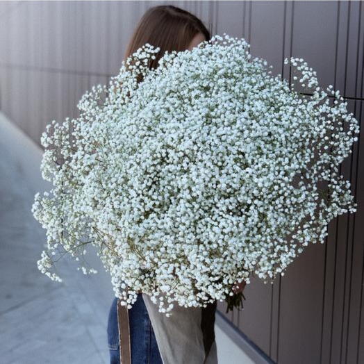 Bouquet of 25 stems Gypsophilia flowers -1253