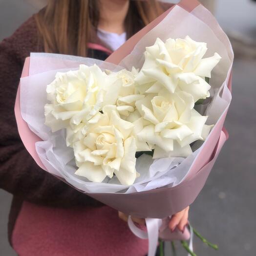 Rosas de encaje Blanc