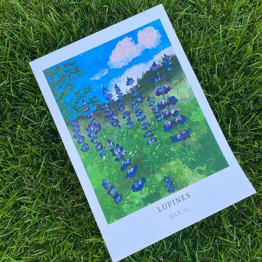 Постер для интерьера «Люпины»