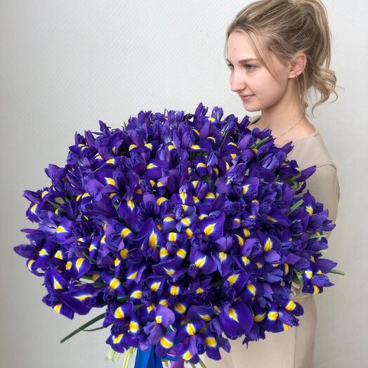 Букет из 151 ириса