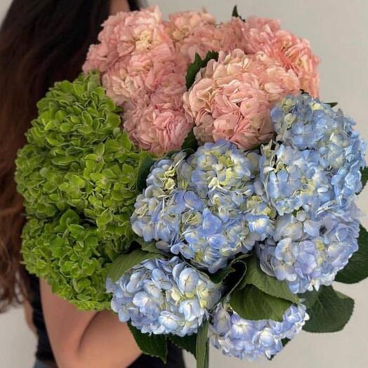 Assorted Hydrangea Bouquet