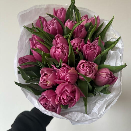 Pink tulips 18 stems