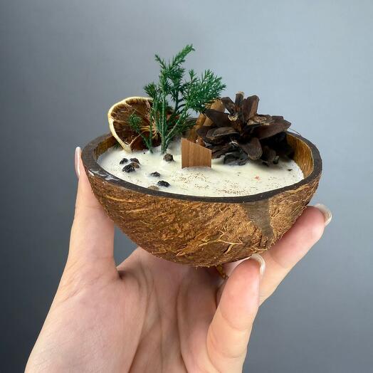 Свеча ручной работы в кокосе