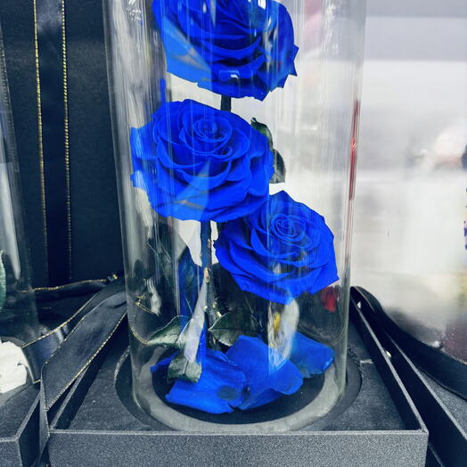 3in1 Forever Rose (Blue)