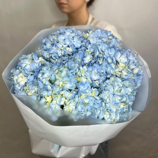 Airy bouquet of 7 blue hydrangeas