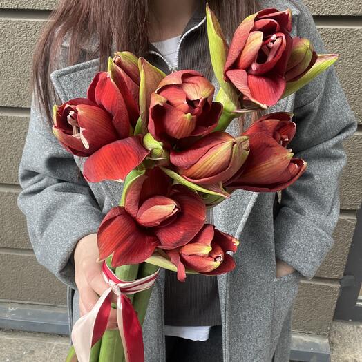 Интерьерный букет амараллисов