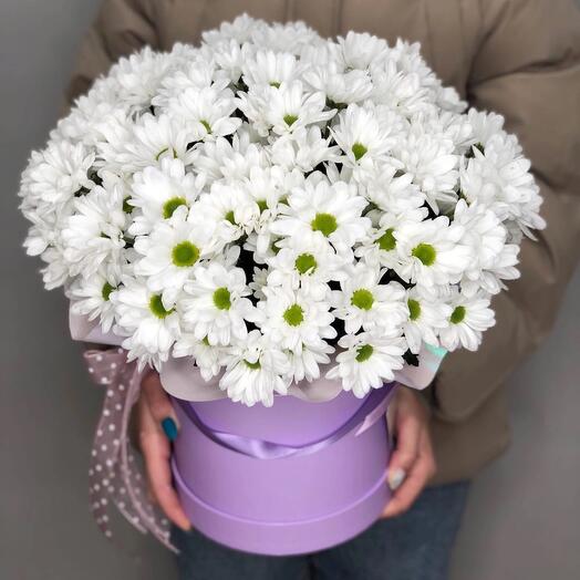 АКЦИЯ!-30% на 11 кустовых хризантем ромашек в коробк