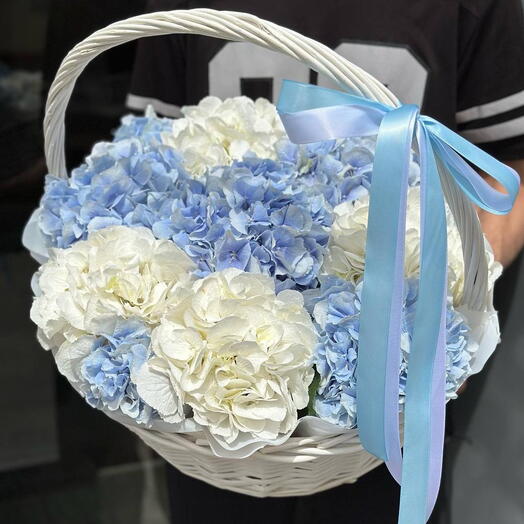 Hydrangia Blue   Hydrangia White IN A Basket