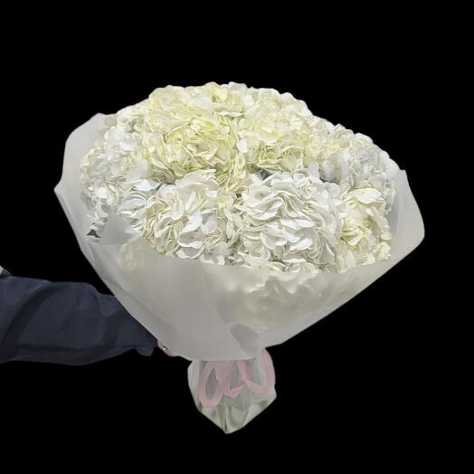 White Hydrangea Bundle