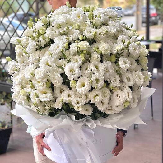 White lisianthus in box