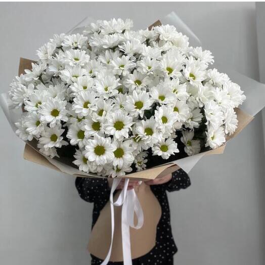 Ромашковое поле