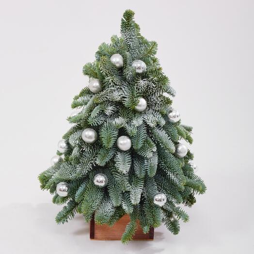 Елка живая новогодняя из датской ели. Букет F222 Цветы Столицы