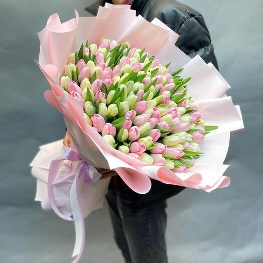 Тюльпаны 101 нежный
